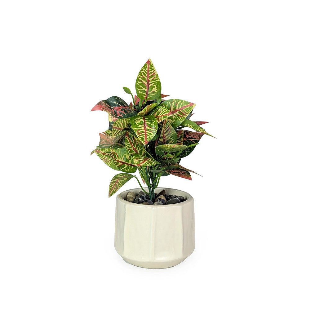 Artificial Plant in Off White Ceramic Pot
