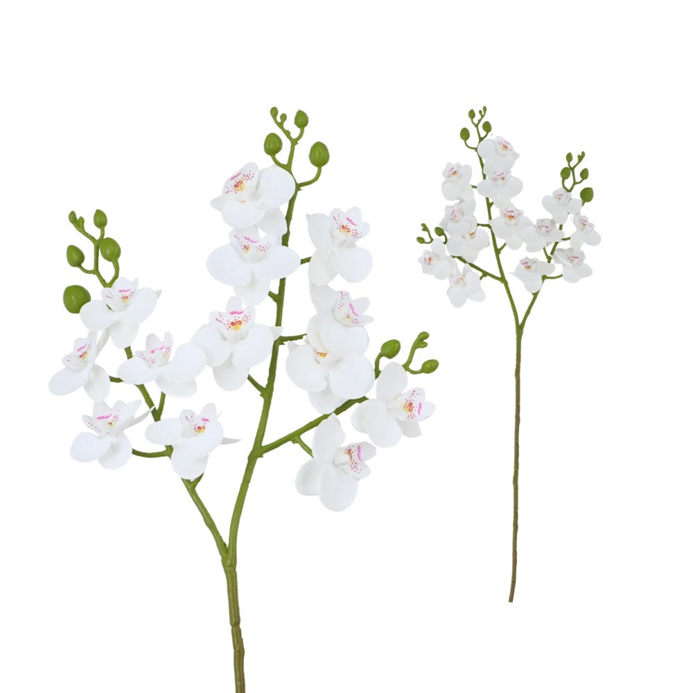Mini Orchid 57cm