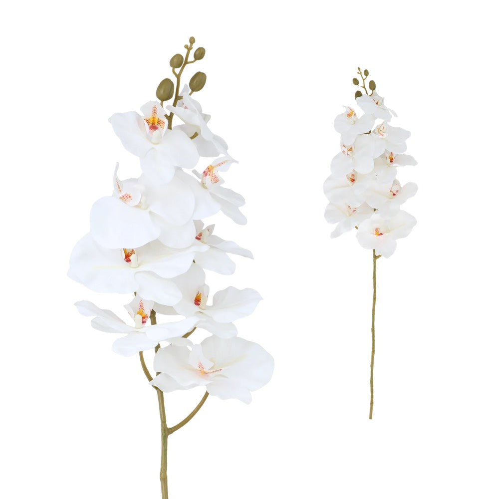 Orchid White 92cm