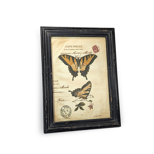 Butterfly Framed Wall Art