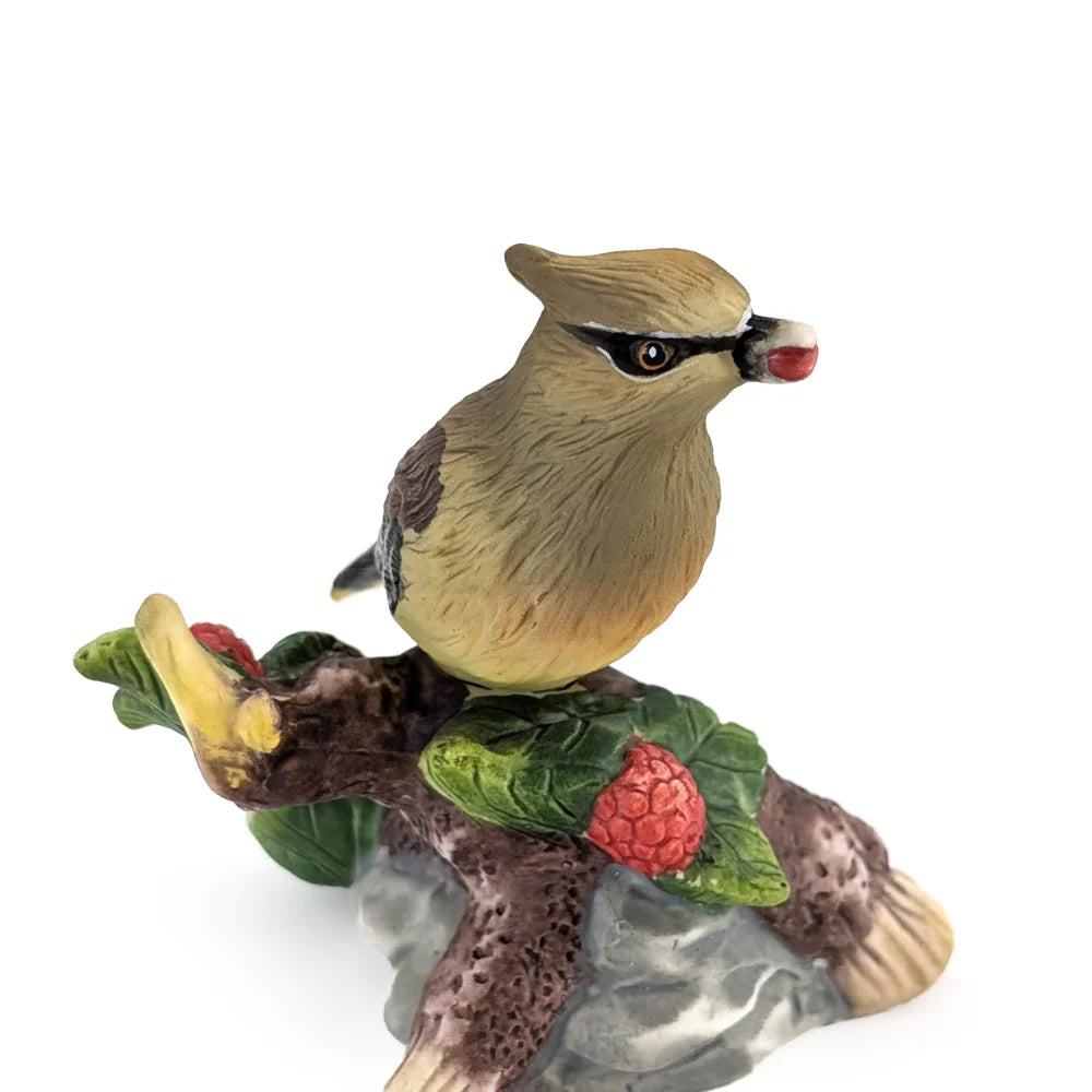 Porcelain Waxwing Bird