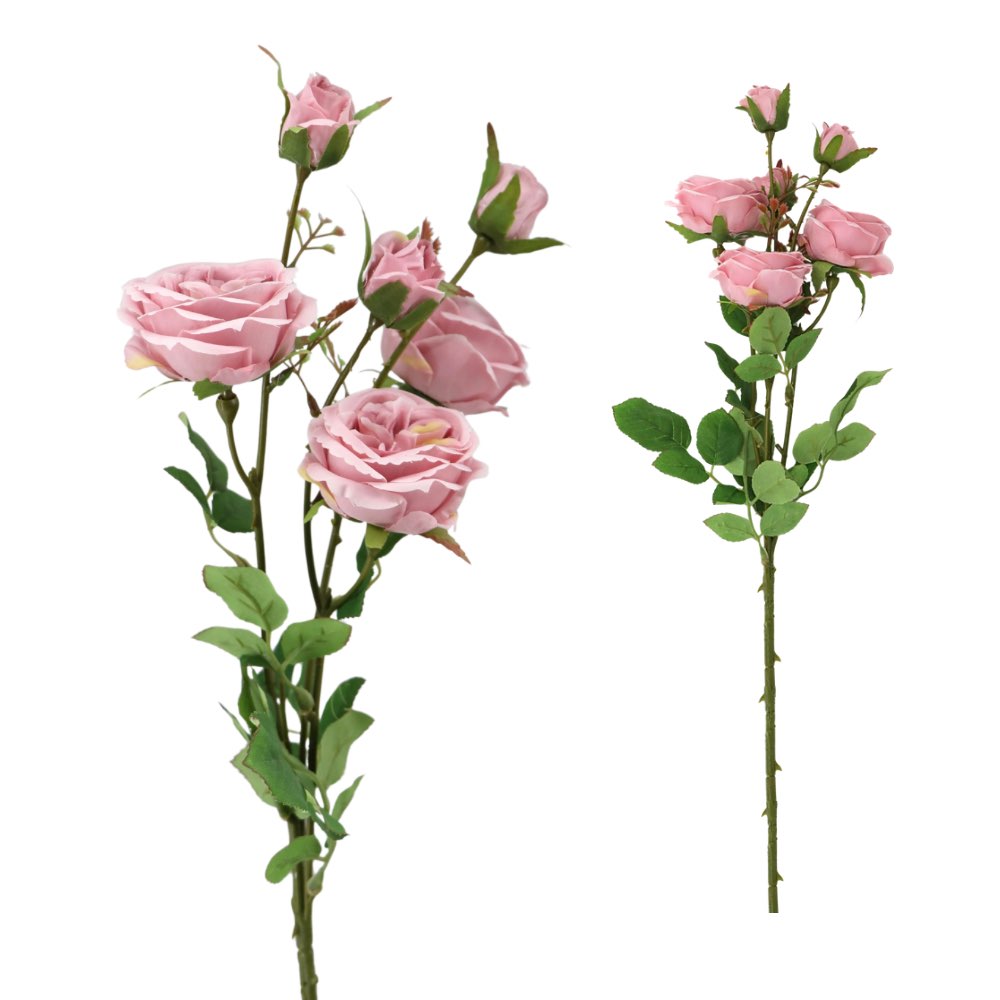 6H David Austin Rose - Pink