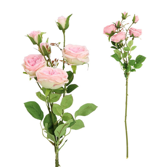 6H David Austin Rose Light Pink 65cm