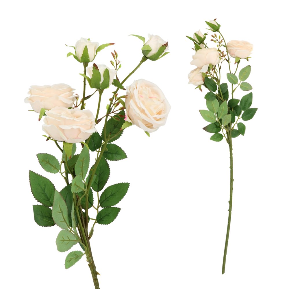 6H David Austin Rose Peach 65cm