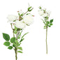 6H David Austin Rose White 65cm