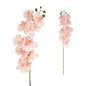 Orchid Light Pink 90cm