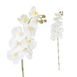 Artificial Orchid White 100cm
