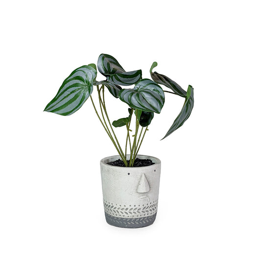 Artificial Potted Plant w/ Face White