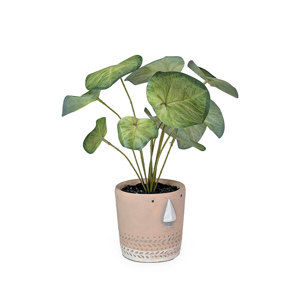 Artificial Potted Plant w/ Face Peach