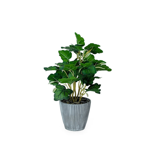 Artificial Plant in Plastic Pot Gray