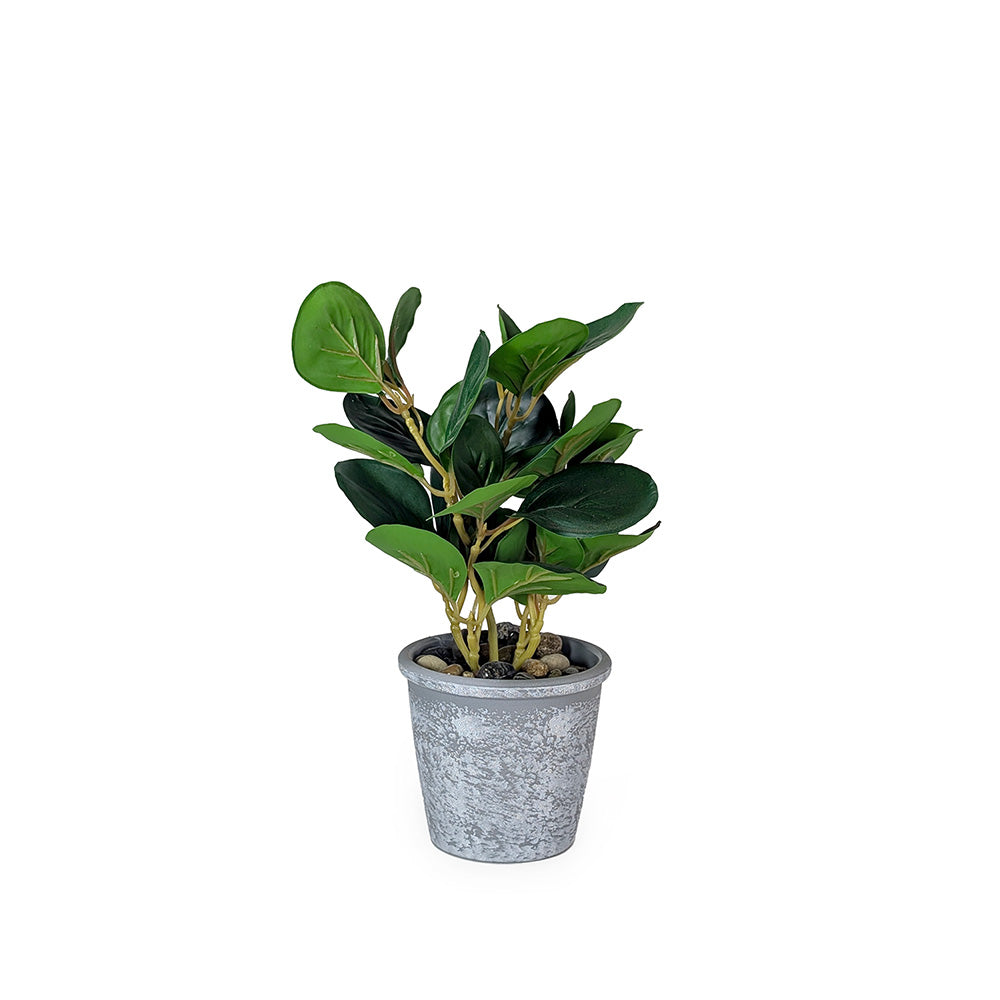 Artificial Plant in Plastic Pot Gray
