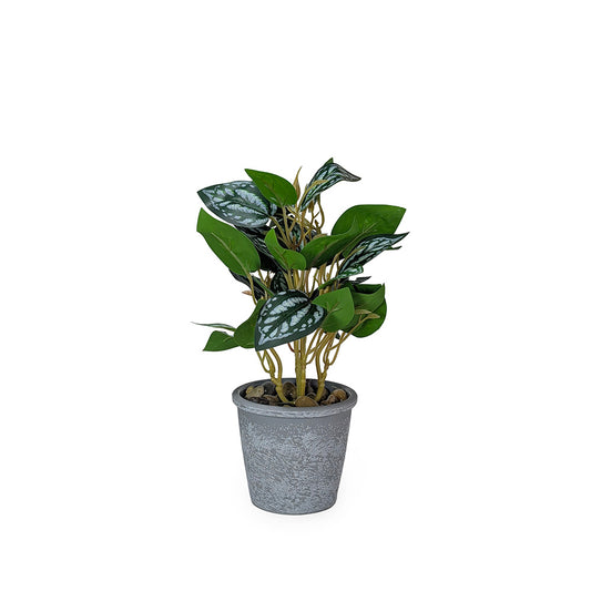 Artificial Plant in Plastic Pot Gray