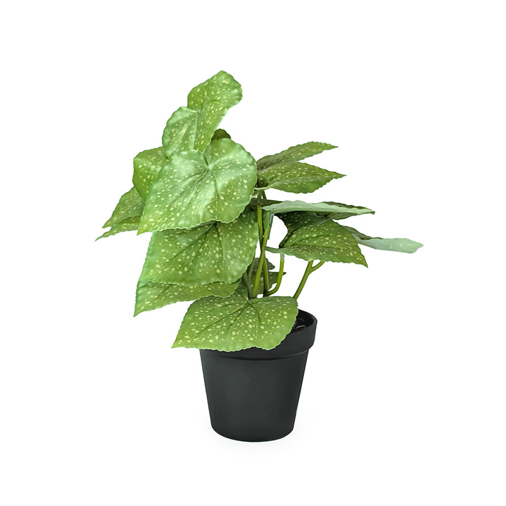 Artificial Plant in Plastic Pot Black
