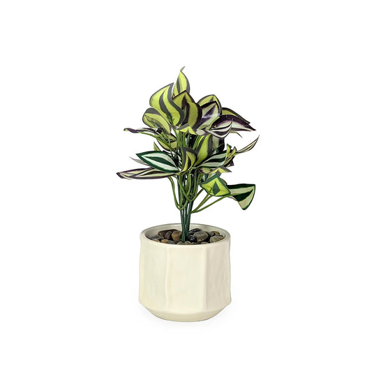 Artificial Plant in Off White Ceramic Pot