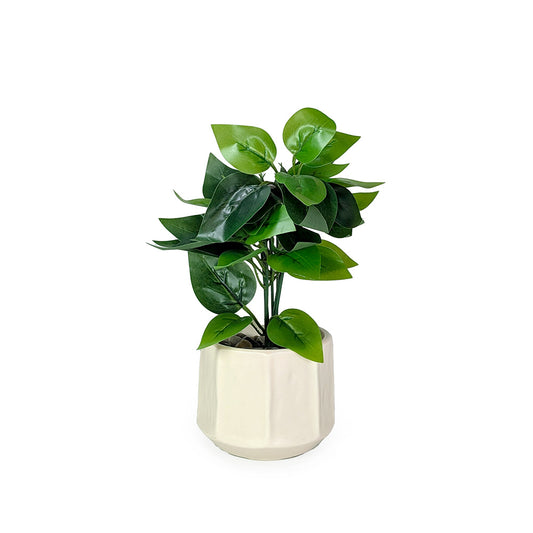 Artificial Plant in Off White Ceramic Pot