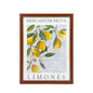 Plastic Wood Framed Wall Art Lemons 33x43cm