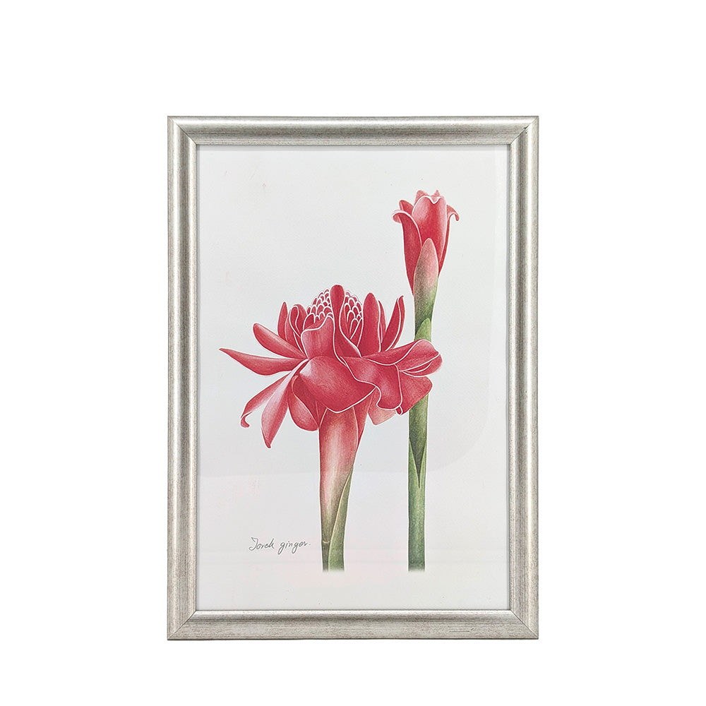 Silver Framed Wall Art Ginger Flower 31x44cm