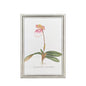 Silver Framed Wall Art Orchid Flower 31x44cm