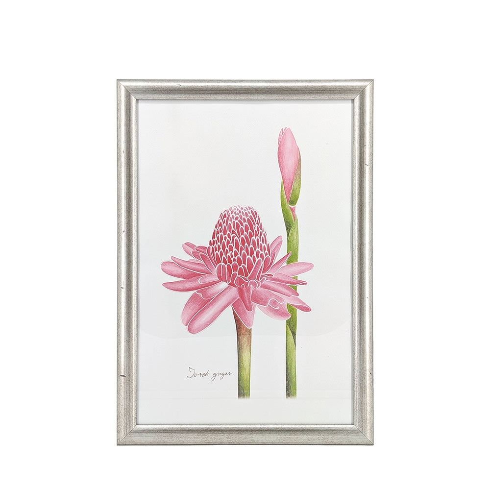 Silver Framed Wall Art Ginger Flower 31x44cm