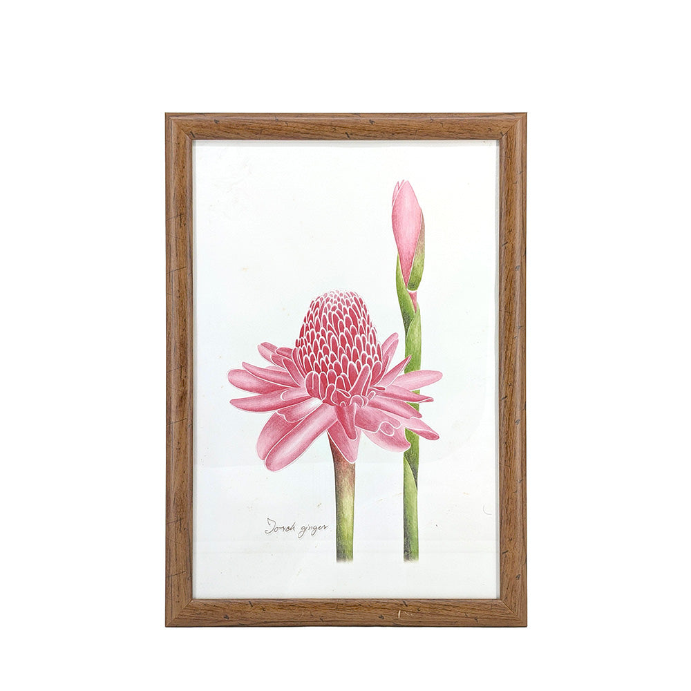 Plastic Wood Framed Wall Art Ginger Flower 31x44cm