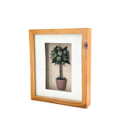 Framed Apple Tree