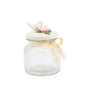 Glass Canister w/ Lid Bird Small