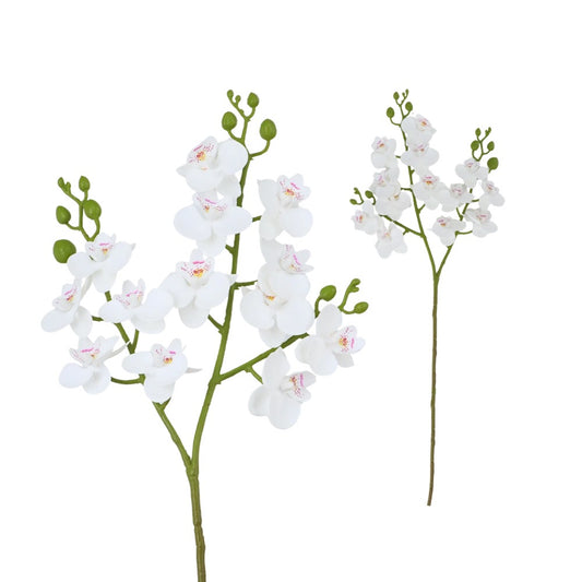 Mini Orchid 57cm