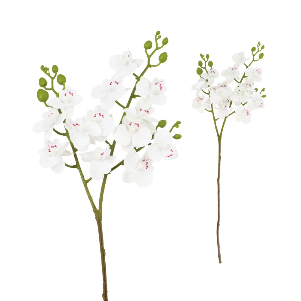 Mini Orchid 57cm