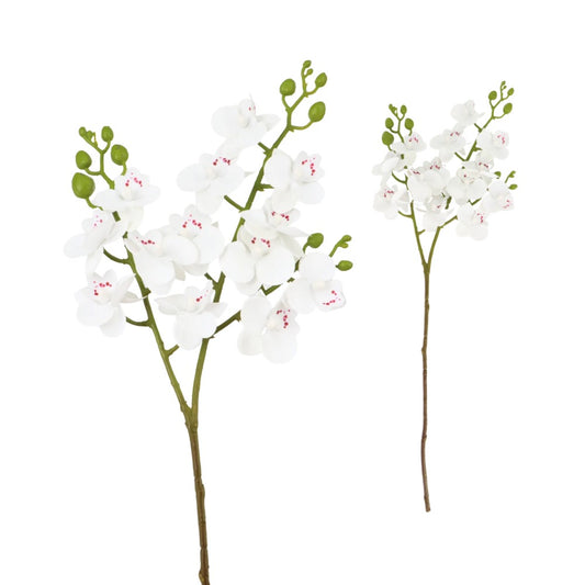 Mini Orchid 57cm