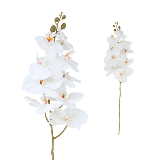 Orchid White 92cm