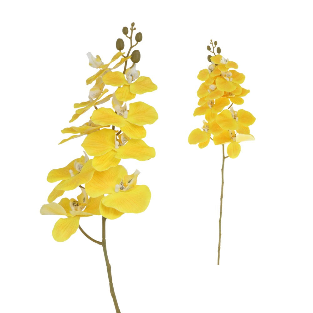 Orchid Yellow 92cm