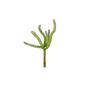 Artificial Succulent