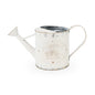 Rustic Tin Watering Can