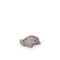 Turtle Decor